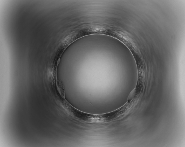 X0000096440415200801241402