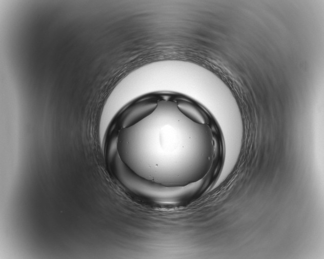 X0000096440417200801241402