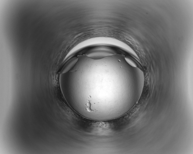 X0000096440421200801241402