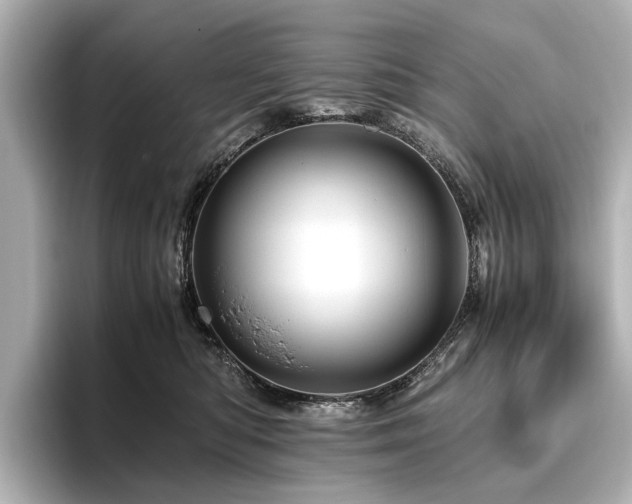 X0000096440422200801241402