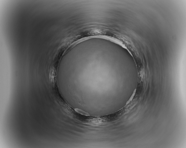 X0000096440423200801241402