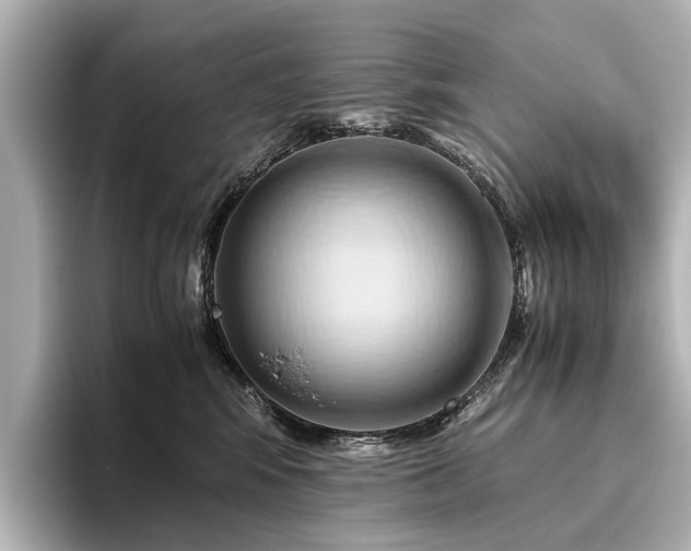 X0000096440424200801241402
