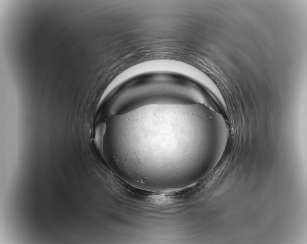 X0000096440425200801241402