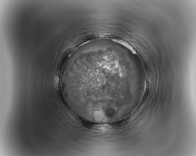 X0000096440427200801241402