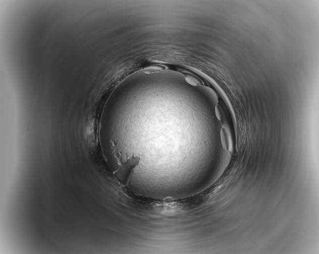 X0000096440428200801241402