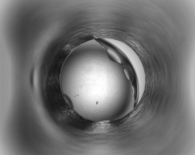 X0000096440429200801241402