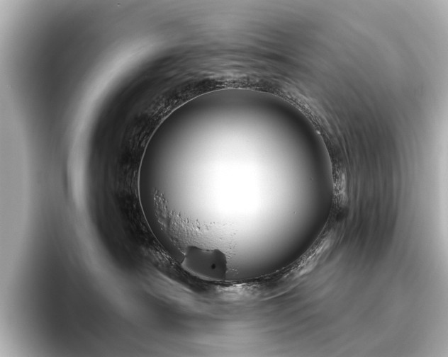 X0000096440430200801241402