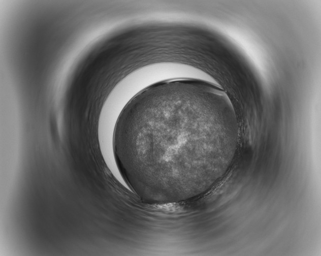 X0000096440431200801241402