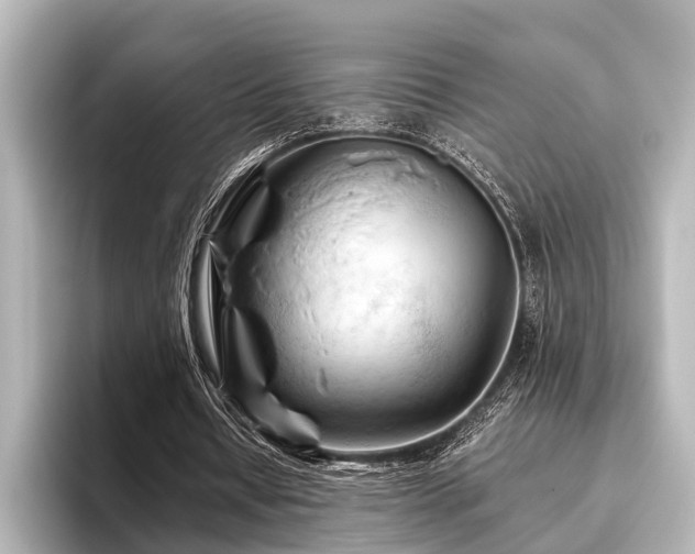 X0000096440434200801241402