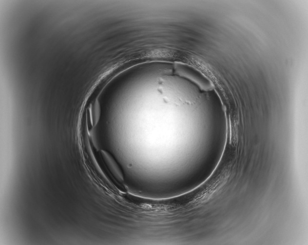 X0000096440435200801241402
