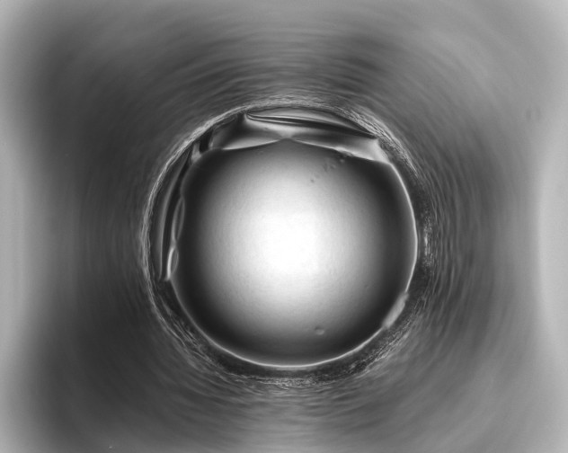 X0000096440436200801241402