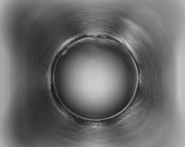 X0000096440438200801241402