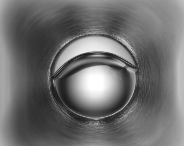 X0000096440439200801241402