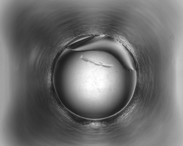 X0000096440441200801241402