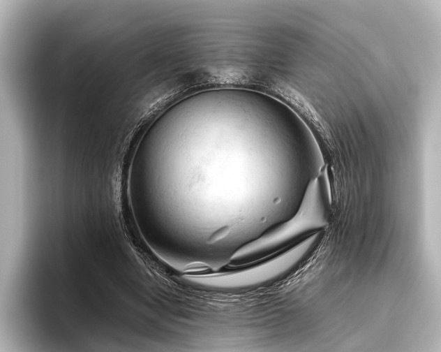 X0000096440442200801241402