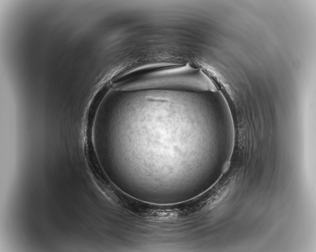 X0000096440443200801241402