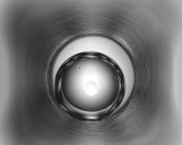 X0000096440444200801241402