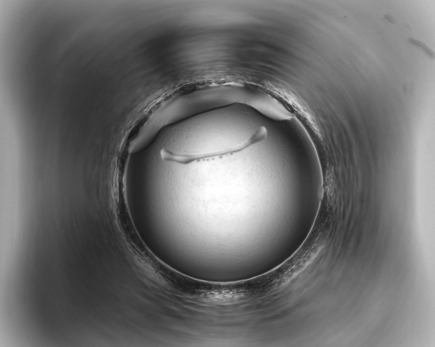 X0000096440445200801241402