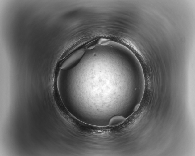 X0000096440447200801241402