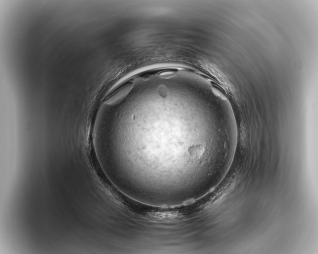 X0000096440449200801241402