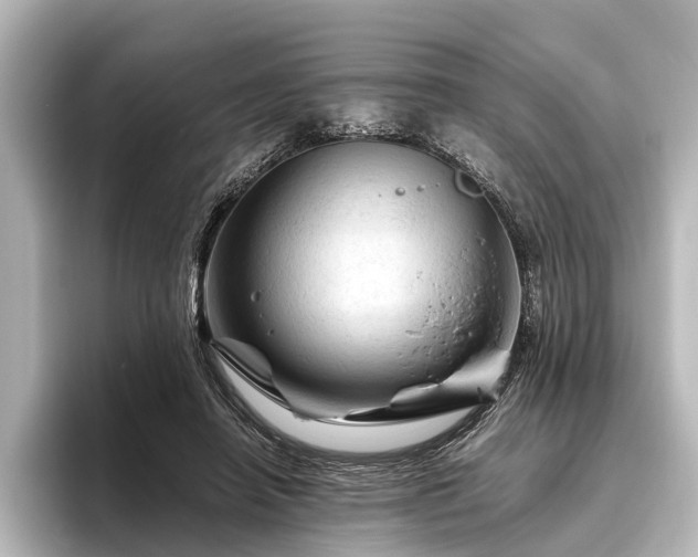 X0000096440450200801241402