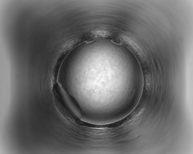 X0000096440451200801241402