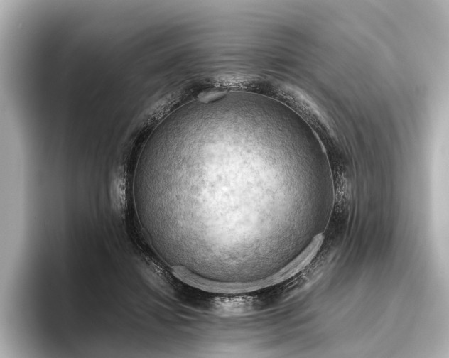 X0000096440452200801241402