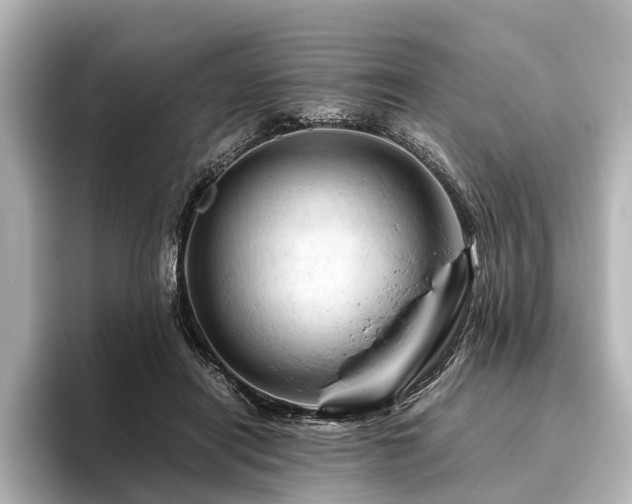 X0000096440454200801241402