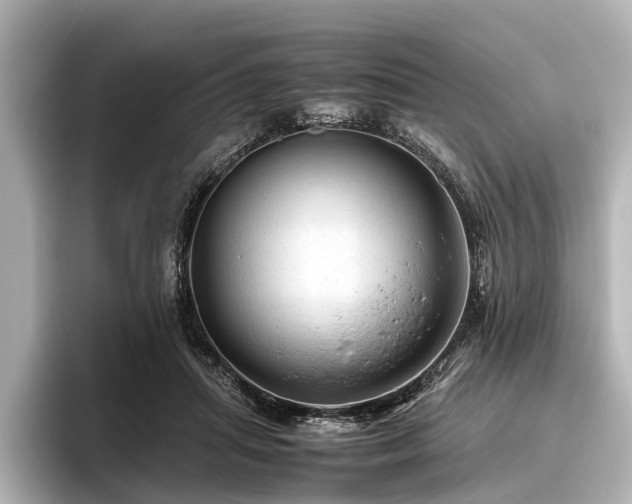 X0000096440455200801241402