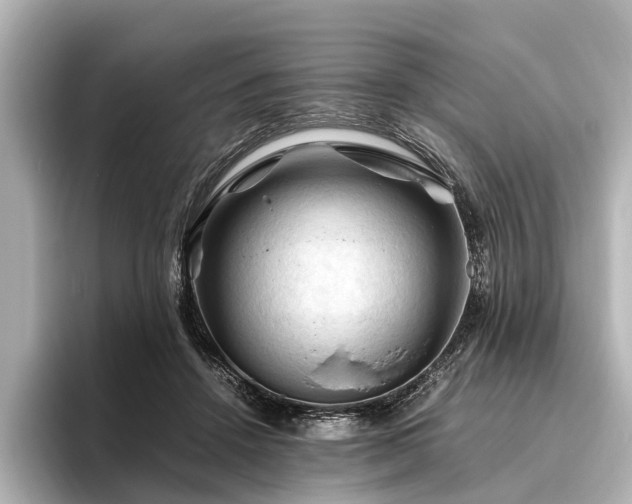 X0000096440456200801241402