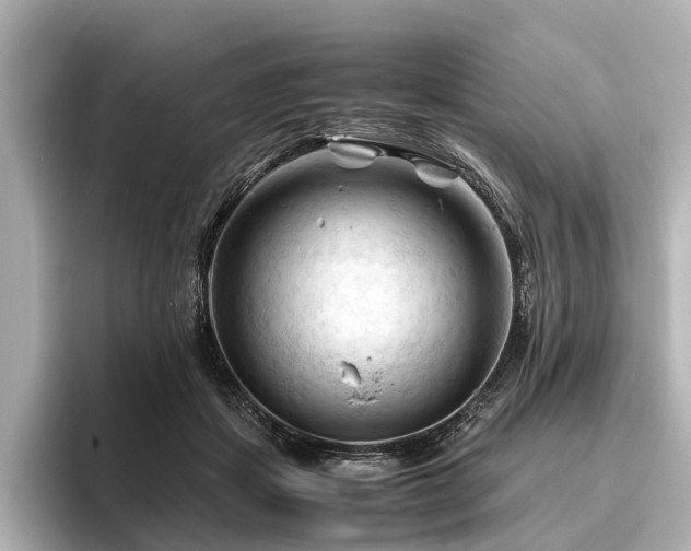 X0000096440459200801241402