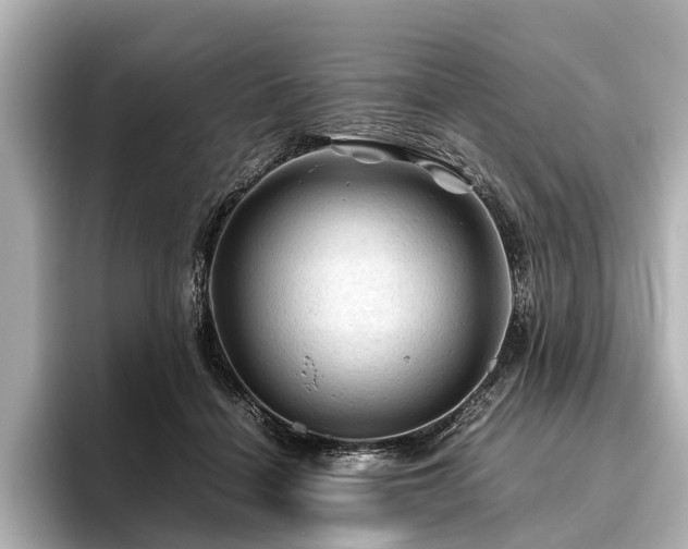 X0000096440460200801241402