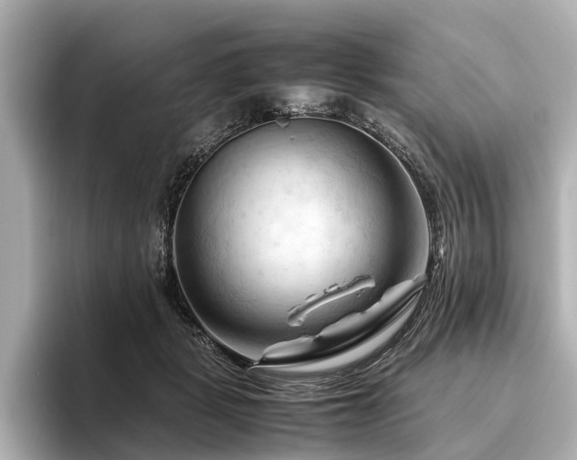 X0000096440461200801241402
