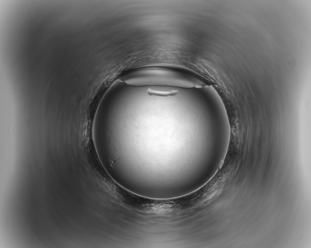 X0000096440462200801241402