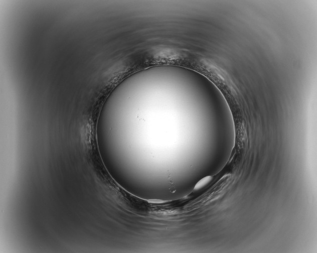 X0000096440463200801241402