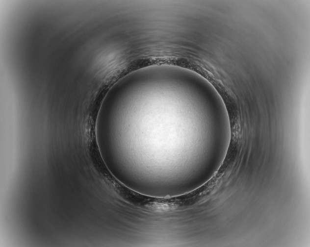 X0000096440464200801241402