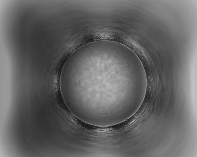 X0000096440465200801241402