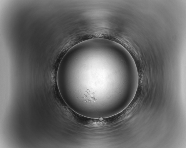 X0000096440466200801241402