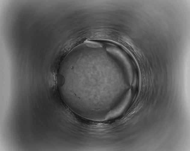 X0000096440467200801241402