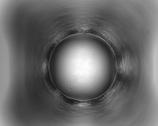 X0000096440468200801241402