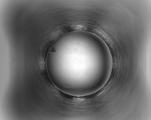 X0000096440469200801241402