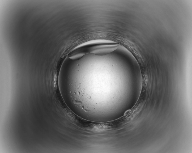 X0000096440470200801241402