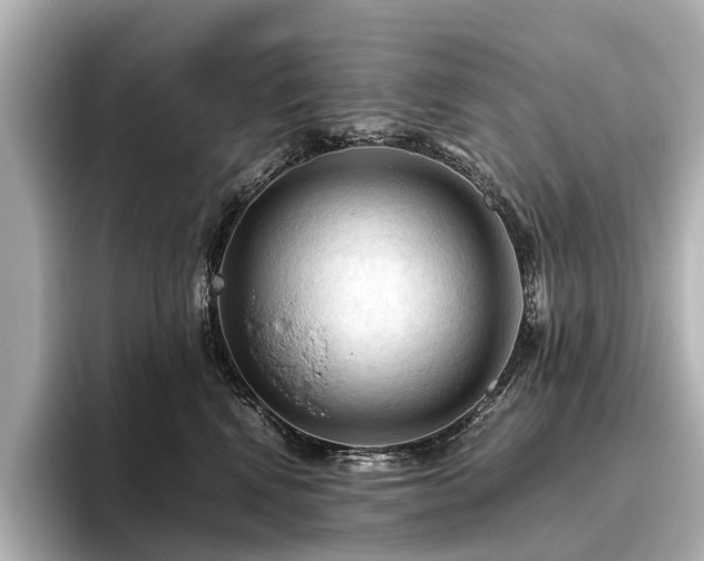 X0000096440472200801241402