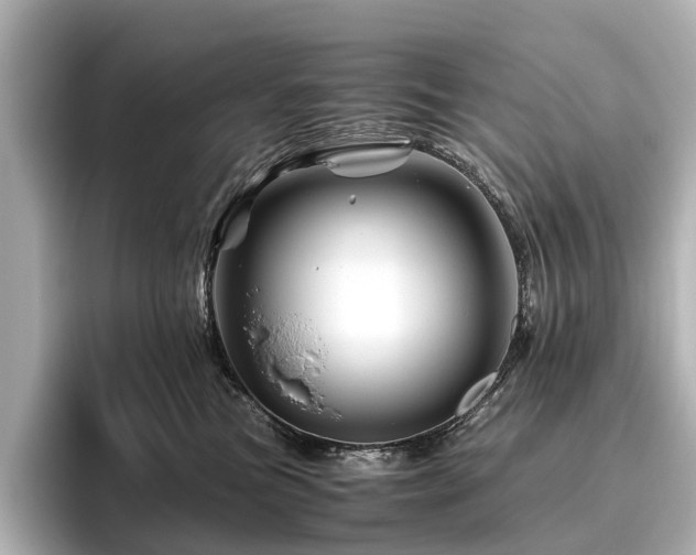 X0000096440473200801241402