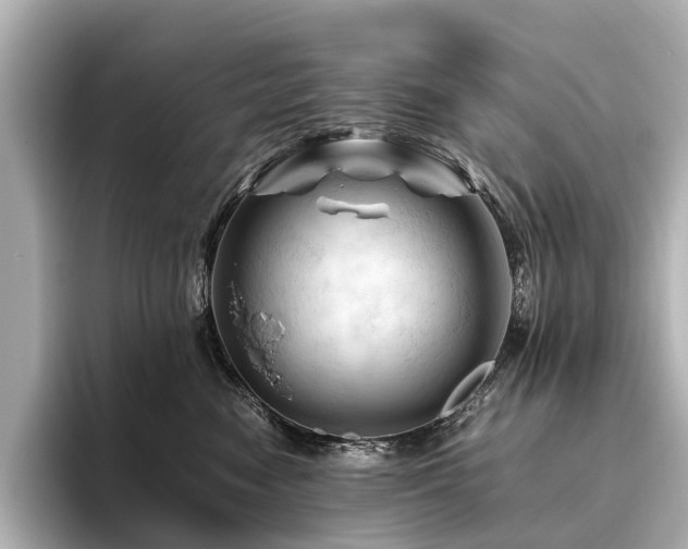 X0000096440474200801241402