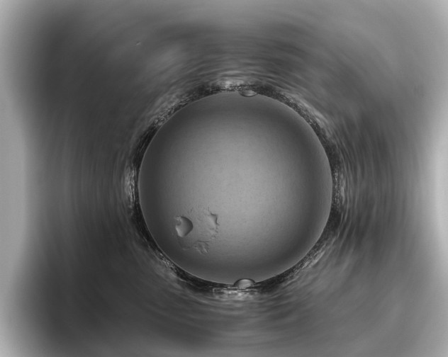 X0000096440475200801241402
