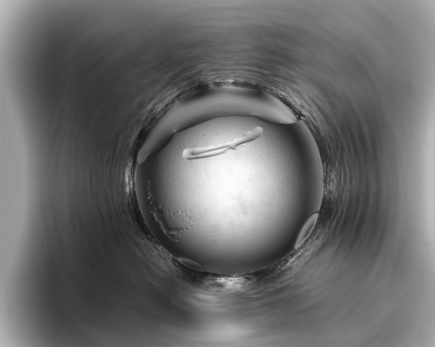 X0000096440478200801241402