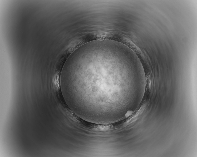 X0000096440479200801241402