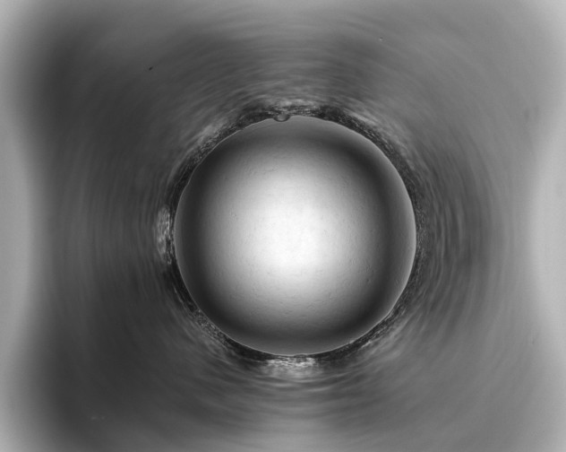 X0000096440480200801241402