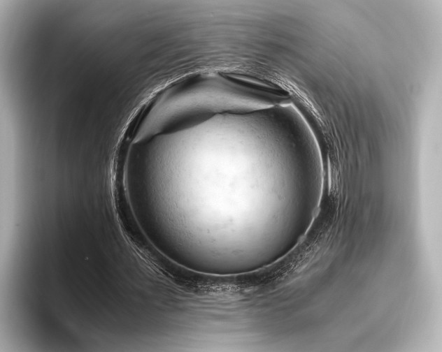 X0000096440483200801241401